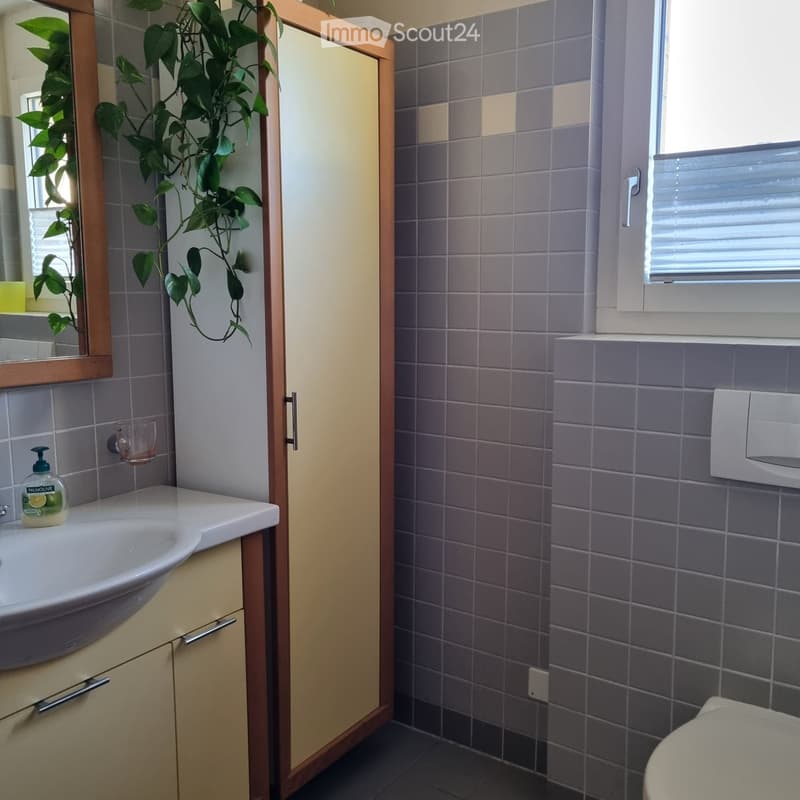 Bathroom with sink, mirror, cabinet, toilet, window, tiled walls, plant