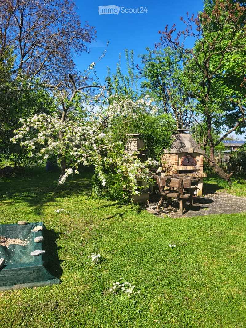 green grass, brick oven, wooden table and chairs, apple tree, green net