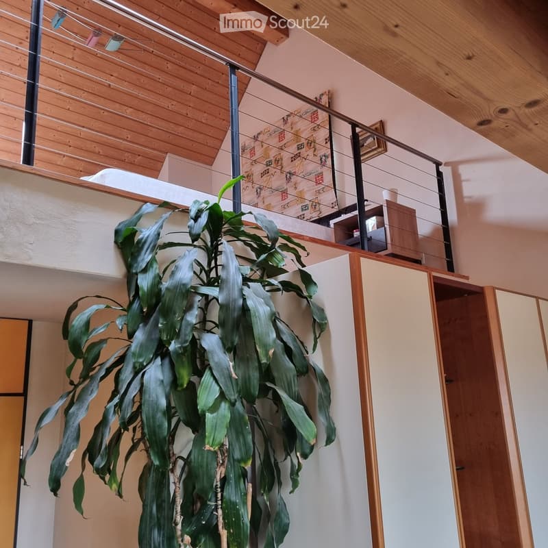 A room with a balcony, a large plant, a wooden ceiling, a white wall, a wooden cabinet, and a picture frame on the wall.
