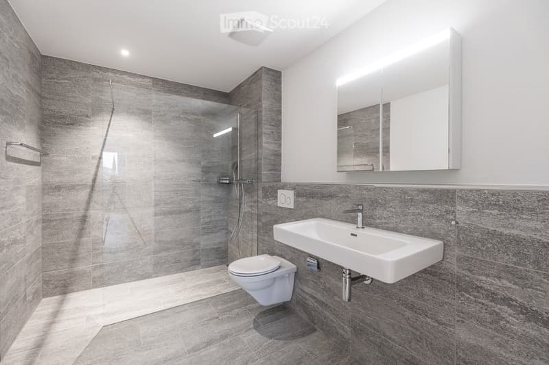 modern bathroom with gray tiles, glass shower enclosure, white toilet, white sink, mirror, and faucet