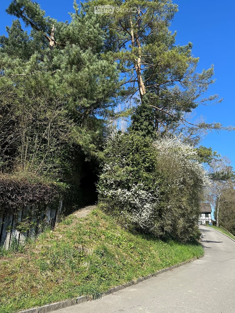 A narrow paved pathway bordered by dense greenery and trees, leading up a gentle slope with a small house visible in the distance.