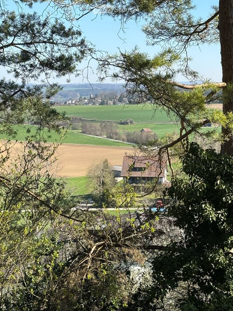 A scenic view of a rural landscape with fields, trees, and a house in the distance, framed by branches and foliage.