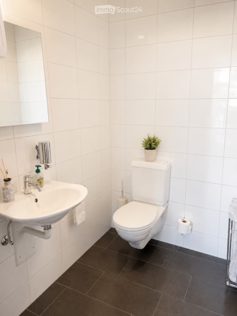 Modern bathroom with white tiles, a white sink, a toilet, a small potted plant on the toilet tank, and a mirror above the sink.