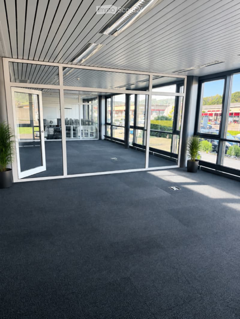 Empty room with large glass walls and doors, carpeted floor, and potted plants near the windows.