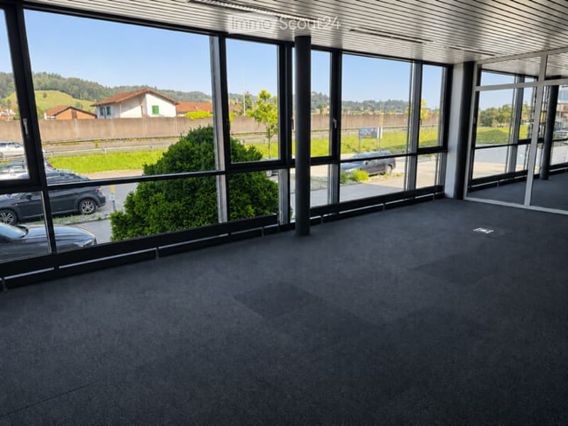 Empty room with large windows, carpeted floor, and a view of the outside area with parked cars and greenery.