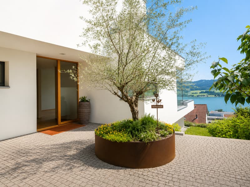 Modern outdoor area with a brick-paved patio, a large tree in a metal planter, and a view of a lake and mountains in the background.