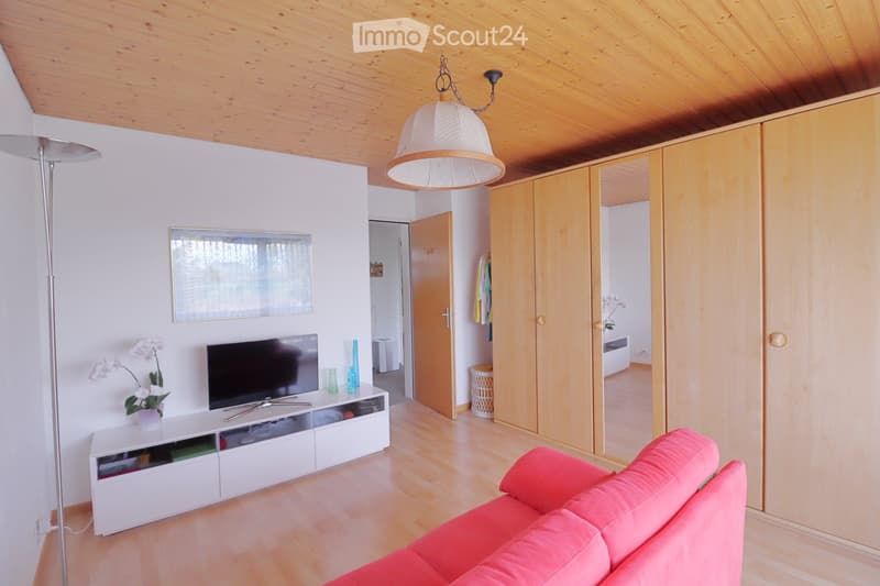 Modern living room with wooden flooring, white walls, and a slanted wooden ceiling. Features a red sofa, a white TV cabinet with a flat-screen TV, a floor lamp, a mirror, and decorative vases.