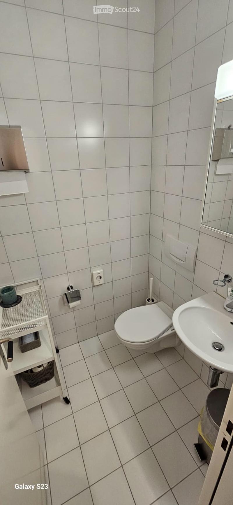 small bathroom with toilet, sink, and mirror