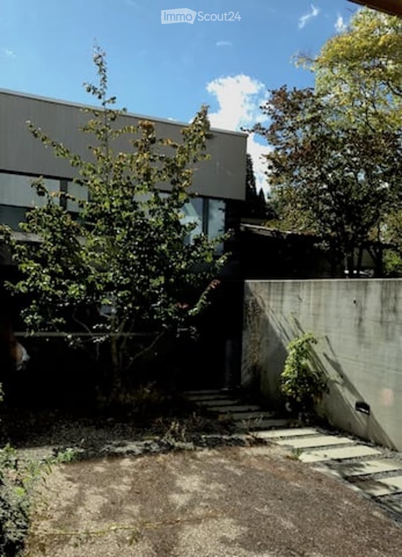 Modern minimalist outdoor area with a concrete wall, small tree, and steps leading to a building entrance.