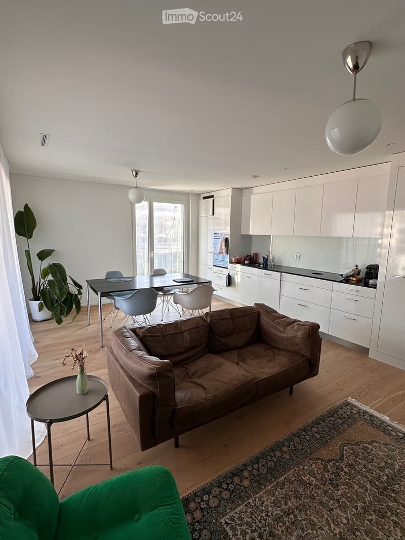 Modern living and dining area with a brown leather sofa, a small side table with a vase, a dining table with chairs, a kitchen area with white cabinets and a black countertop, and a large plant in a pot near the window.
