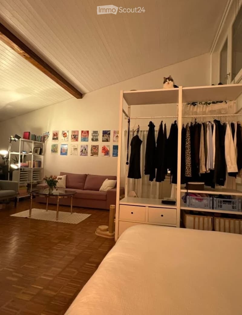 A cozy, multi-functional room with a sofa, coffee table, bed, wardrobe, and shelves. The space features wooden flooring, exposed wooden beams on the ceiling, and a cat sitting on the wardrobe.