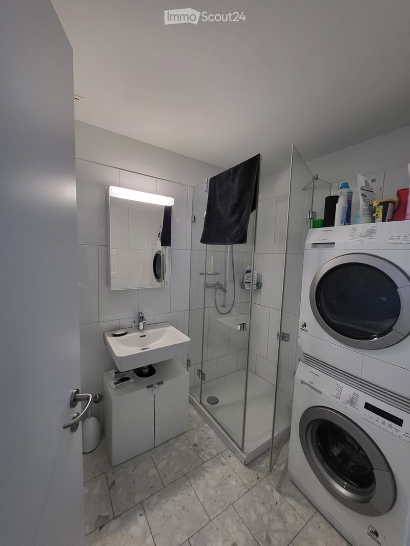 Modern bathroom with a sink, mirror, glass-enclosed shower, and a stacked washer/dryer unit.