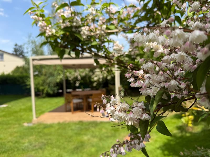 Garden with green lawn, wooden patio furniture, and flowering tree branches in the foreground.