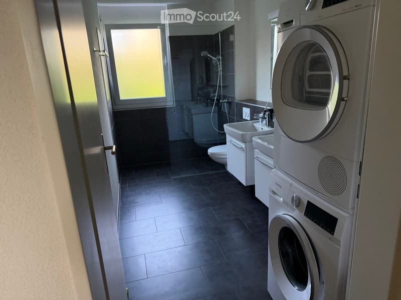 Modern bathroom with a glass-enclosed shower, a toilet, a sink, and a stacked washing machine and dryer unit.