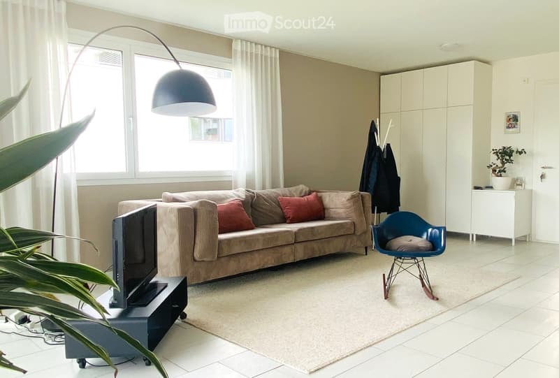 Modern living room with a beige sofa, red throw pillows, a flat-screen TV on a stand, a blue armchair, a floor lamp, and a potted plant near the window.