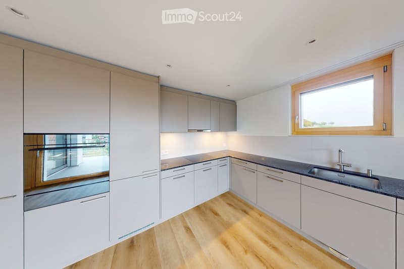 modern kitchen with white cabinets, wooden floor, granite countertop, stainless steel sink, faucet, built-in oven, dishwasher