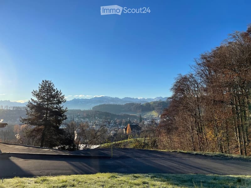 hillside view with trees, town in the distance, mountain range in the background