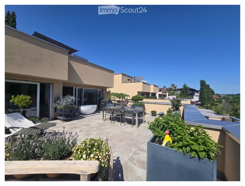 A spacious outdoor terrace with a dining set, sun loungers, and various potted plants, overlooking a scenic landscape.