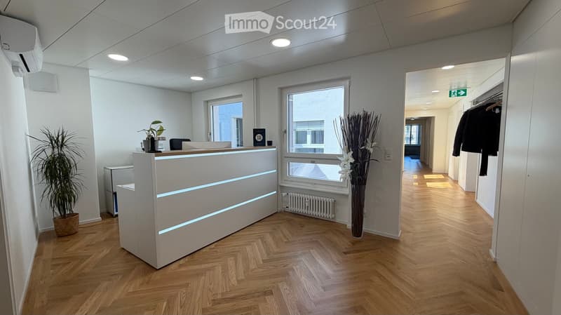 Modern reception area with a sleek white reception desk, a chair, a potted plant, a vase with dried flowers, and a radiator under a large window.