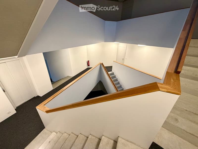 Modern, minimalist hallway with white walls, wooden railings, and carpeted stairs leading to multiple rooms.