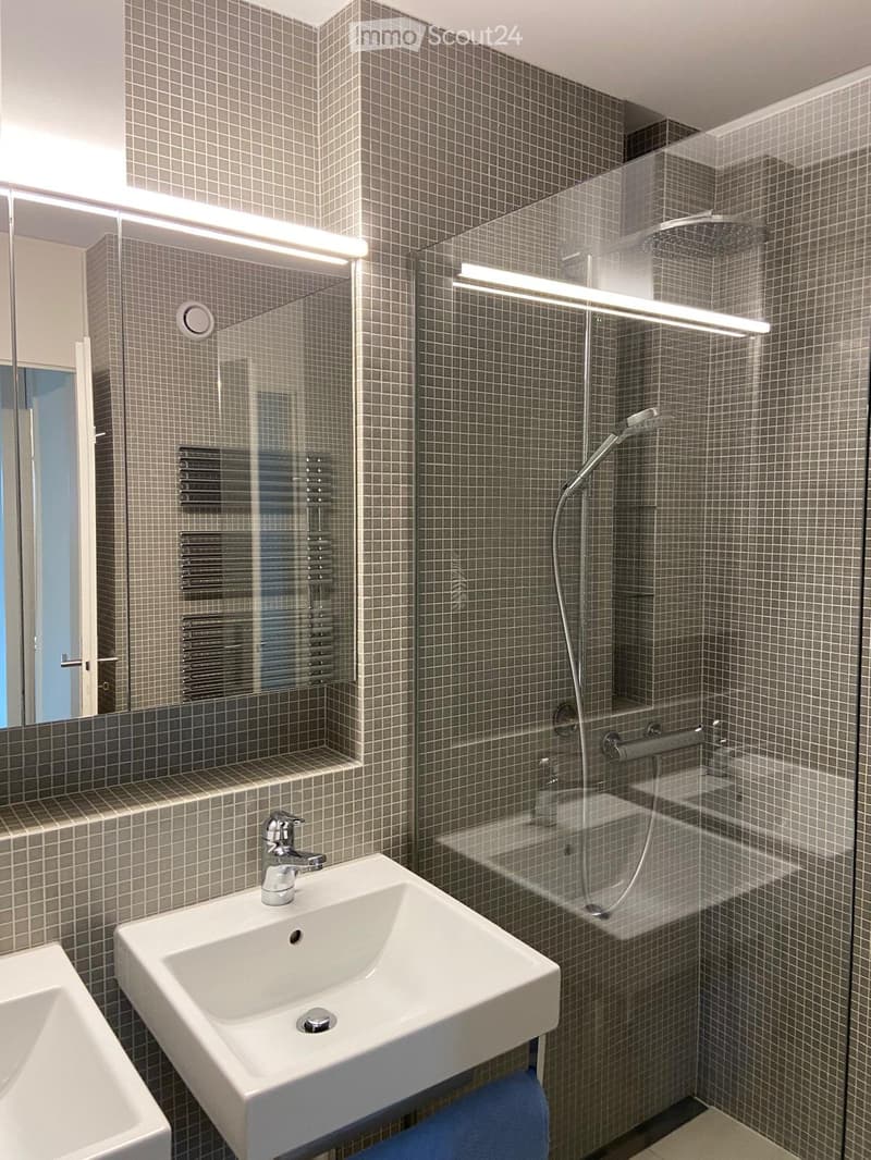 Modern bathroom with grey tiled walls, a white sink with a chrome faucet, a glass-enclosed shower area with a handheld showerhead, and a built-in radiator.