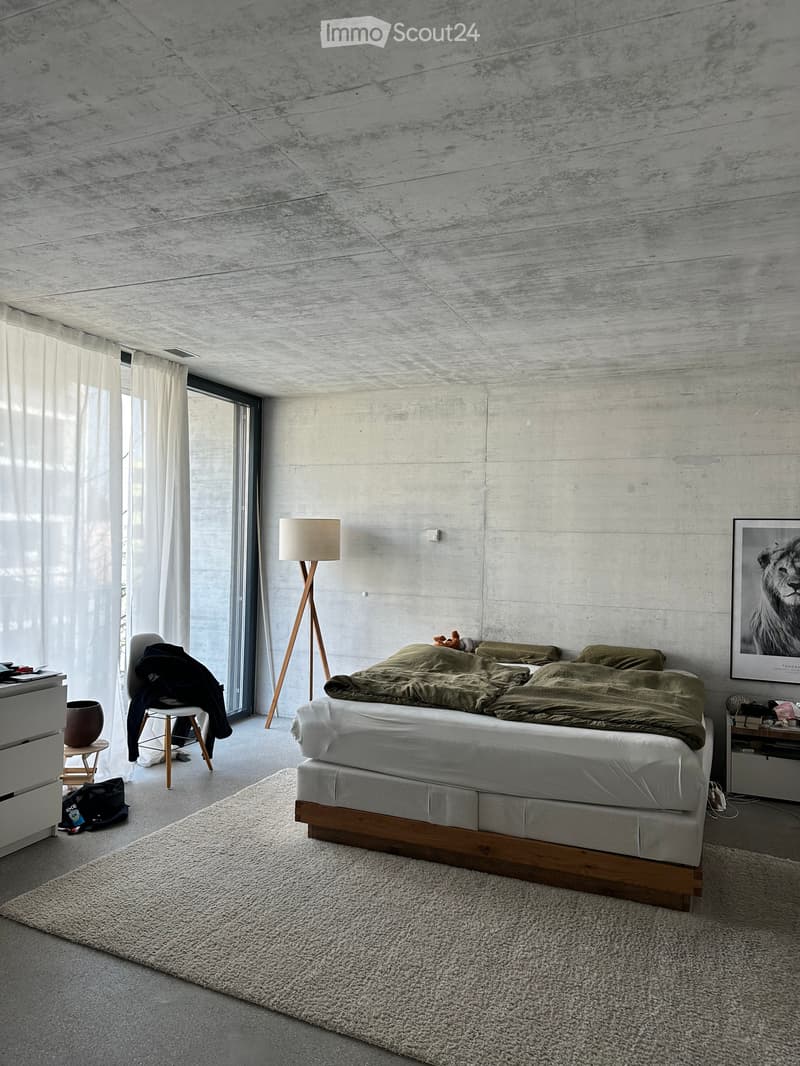 Recherche de sous-locataire pour appartement loft meublé en centre-ville d'Aarau (3)