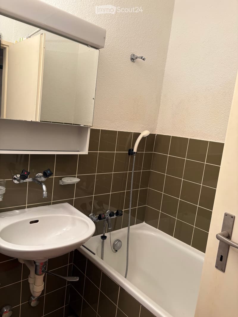 Bathroom with a white sink, bathtub, mirror, and shower hose. The walls are tiled in dark green and white.