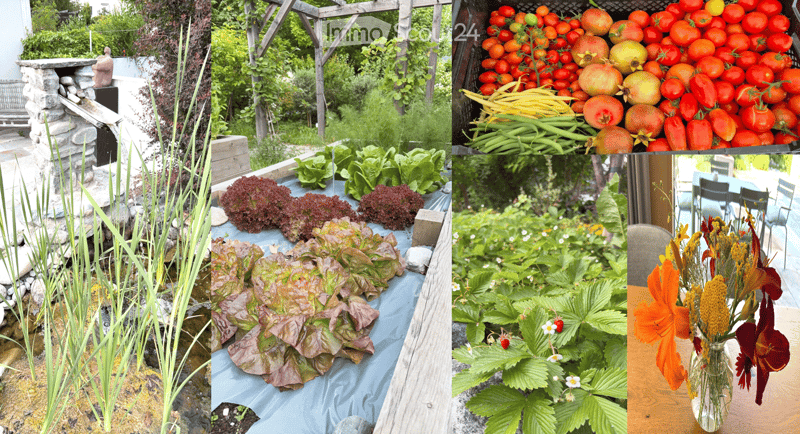 A collage of garden scenes featuring a stone patio, lush greenery, a variety of vegetables and fruits, and a vase of flowers on a wooden table.