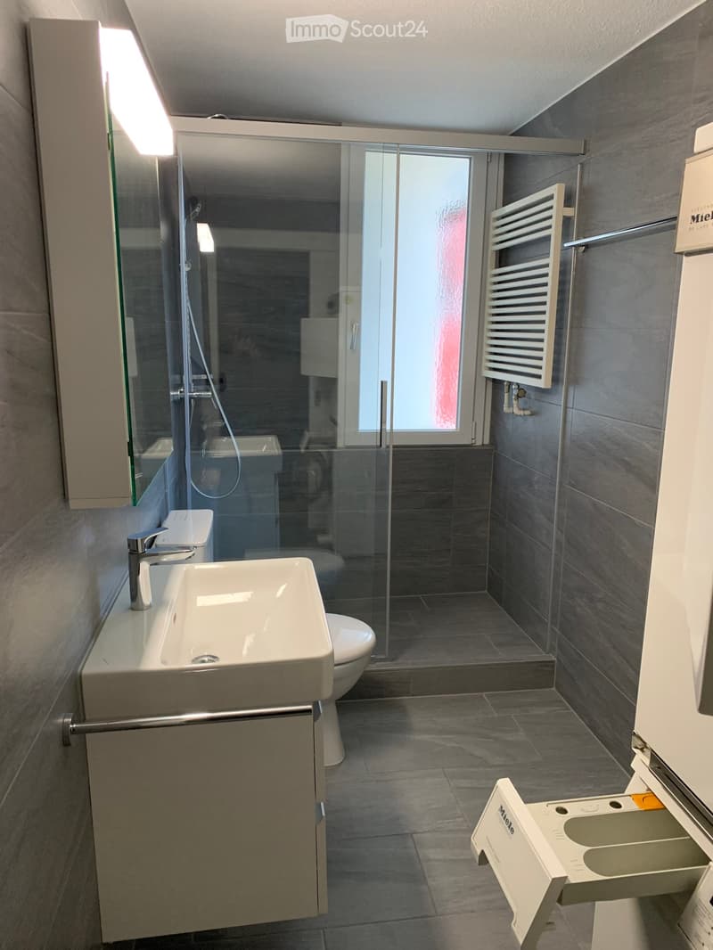 modern compact bathroom with shower, toilet, sink, mirror, glass door
