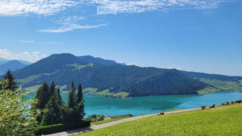 A scenic view of a lake surrounded by lush green hills and mountains, with a road running alongside and cows grazing on the grass.