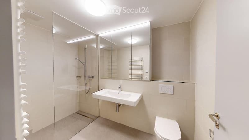 Modern bathroom with a white sink, toilet, large mirror, and glass-enclosed shower area.