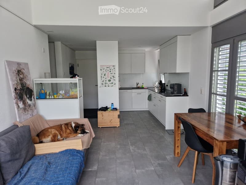 Open-plan living and dining area with a dog resting on a sofa, a small table and chairs, kitchen cabinets, and a pet cage.
