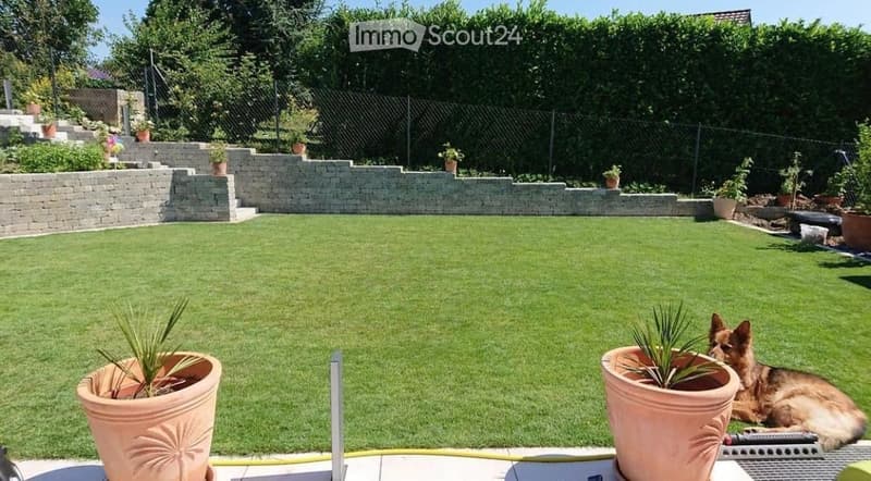 Well-maintained garden with a neatly trimmed lawn, raised stone border, several potted plants, and a dog resting on the grass.