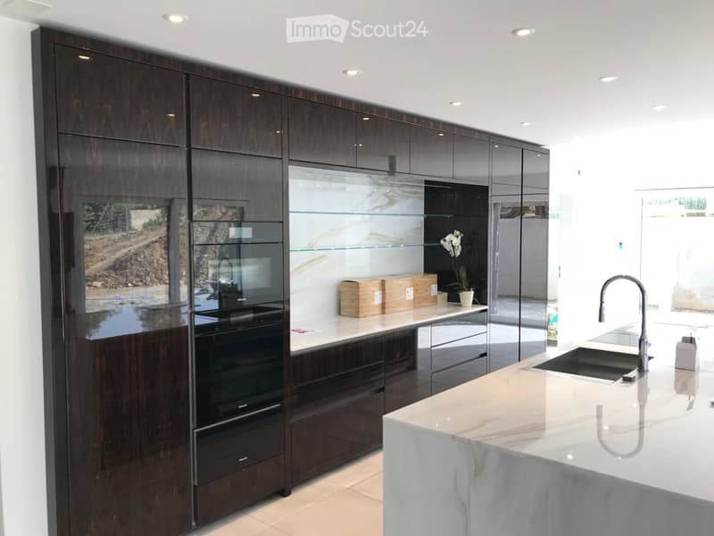 Modern kitchen with dark wooden cabinets, marble countertops, stainless steel sink, and built-in oven. Features a sleek design with recessed lighting and a potted plant on the counter.