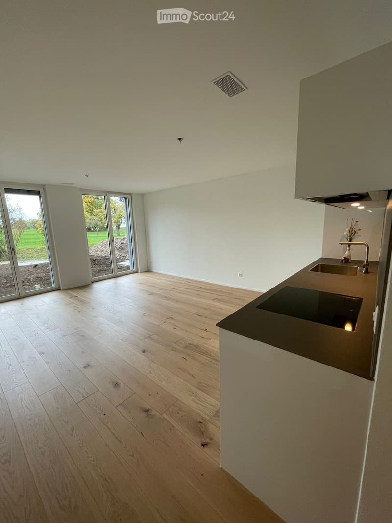 Empty kitchen with light wooden flooring, white walls, and a modern countertop with sink and faucet. Large glass sliding doors lead to an outdoor area.