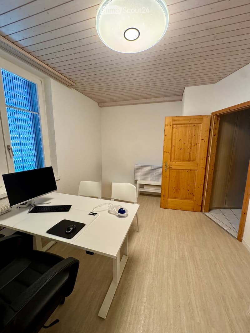 Modern office space with a white desk, black office chair, computer monitor, keyboard, mouse, and radiator. Wooden door and slatted window visible.