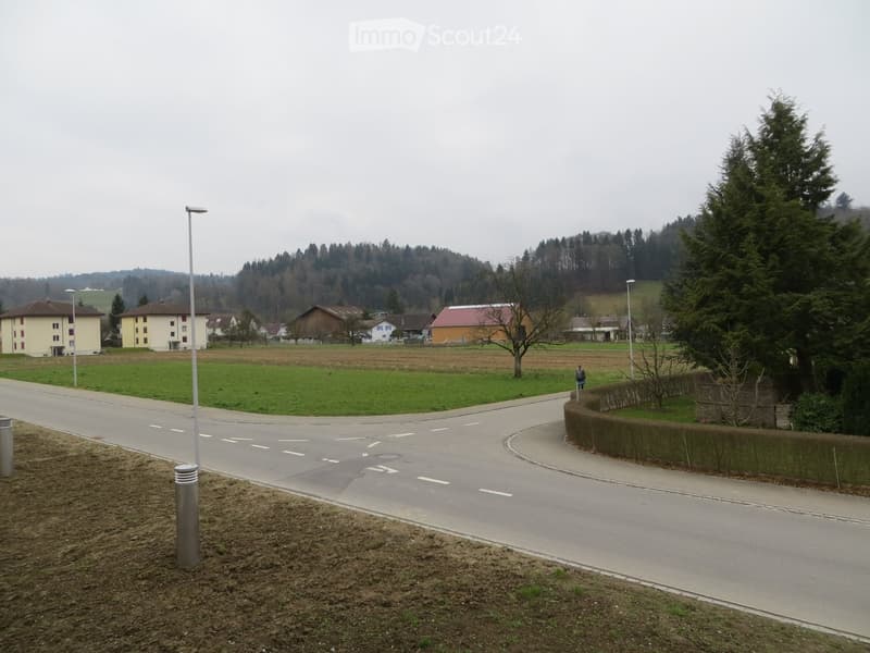 A rural road curves through a green field with scattered houses and trees in the background, under an overcast sky.