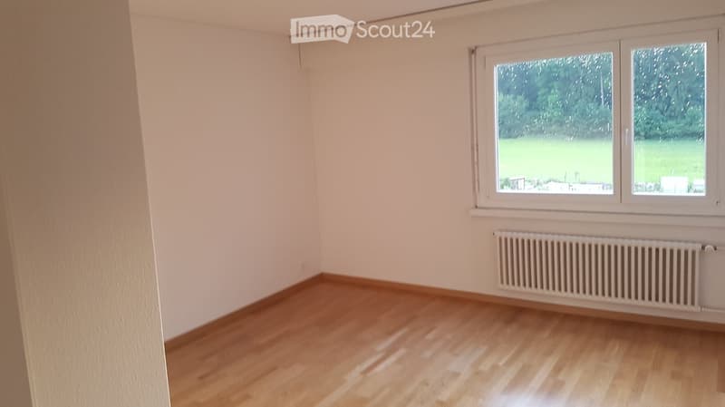 Empty room with wooden flooring, white walls, and a large window showing a green outdoor view. A radiator is mounted on the wall below the window.