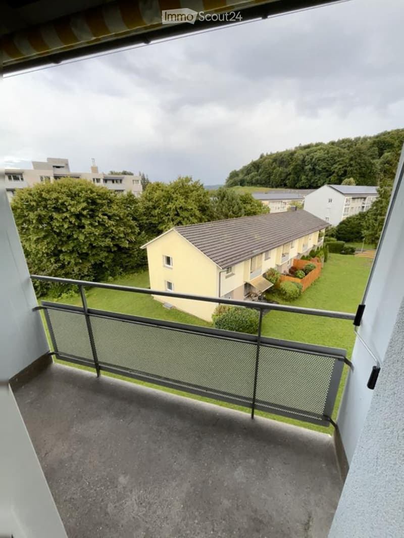 Balcony with metal railing overlooking a green area with trees and buildings in the background.