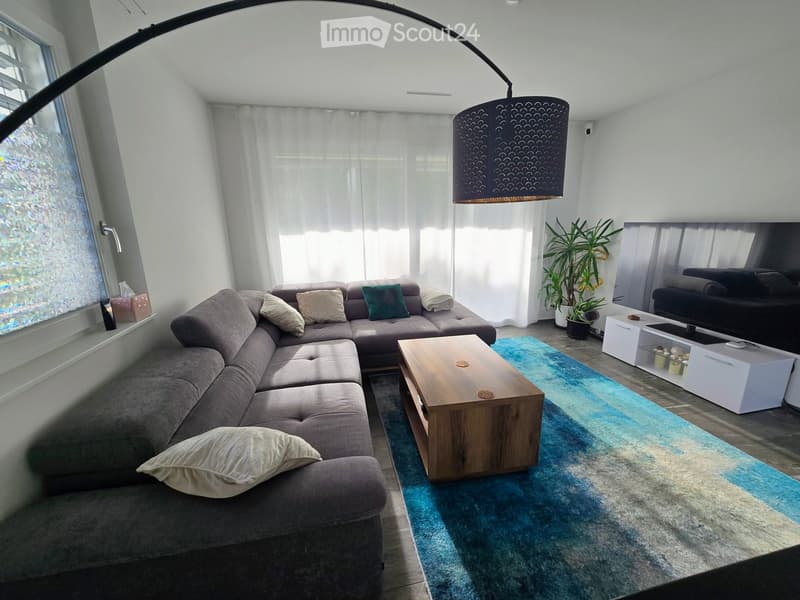 Modern living room with a grey sectional sofa, wooden coffee table, blue area rug, and a TV stand with a television. The room features large windows with white curtains and a floor lamp with a dark shade.