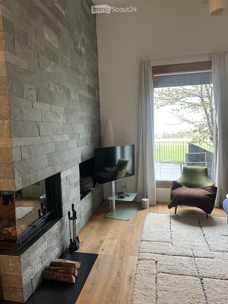 Modern living room with a stone fireplace, flat-screen TV on a stand, a green armchair, and a white shag rug.