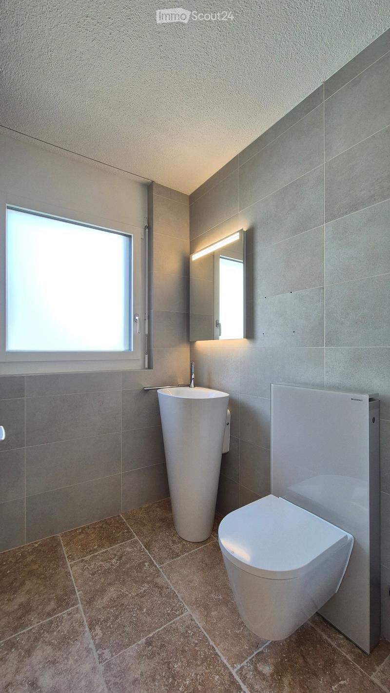 Large mirror, single sink, toilet, and window