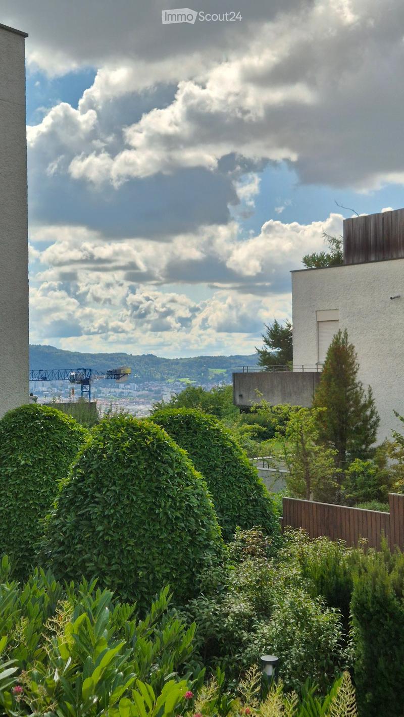 Hedgs, plants, trees, fences, crane, mountains, buildings