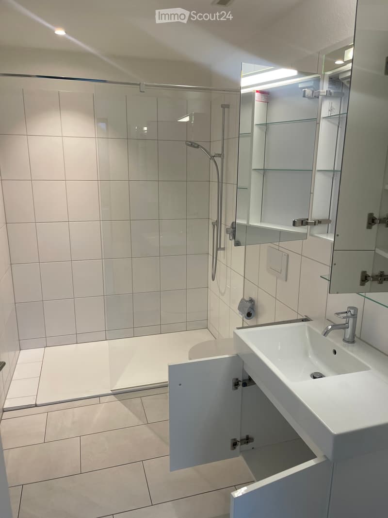 Modern bathroom with white tiles, a large shower area with glass enclosure, a sink with a modern faucet, a mirrored cabinet with shelves, and a toilet paper holder.