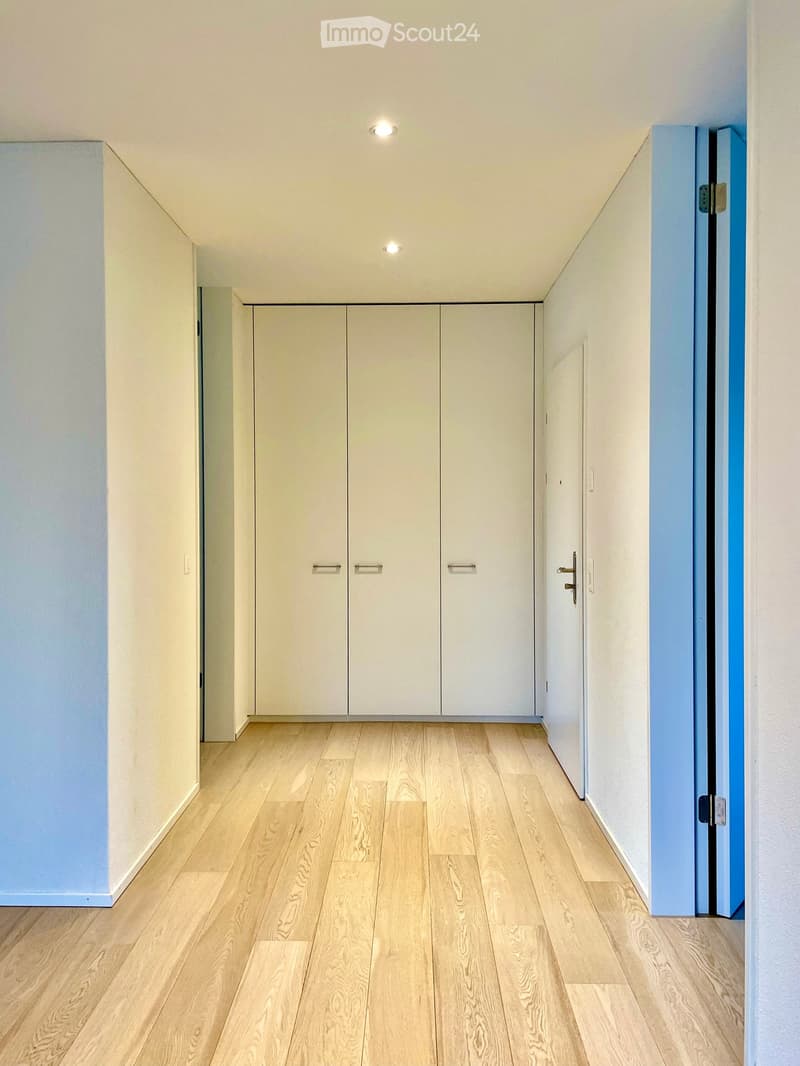 Clean, modern hallway with light wooden flooring, white walls, built-in white closet units, and recessed ceiling lighting.
