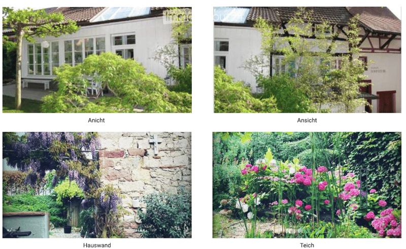Four images showing a house exterior, garden, and pond. The house is white with large windows and a sloped roof. The garden features lush greenery, flowering plants, and a stone wall with climbing vines.