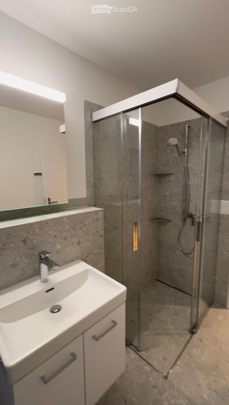 Modern bathroom with a white sink, mirror, and a glass-enclosed shower stall with a modern showerhead.