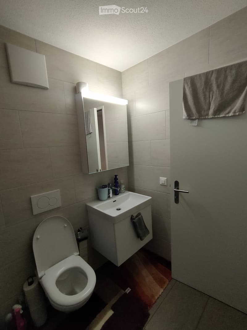 Modern bathroom with a toilet, sink, mirror, and towel. The sink has a cup and a bottle on it, and a towel hangs on the cabinet. A toilet paper roll is placed next to the toilet.
