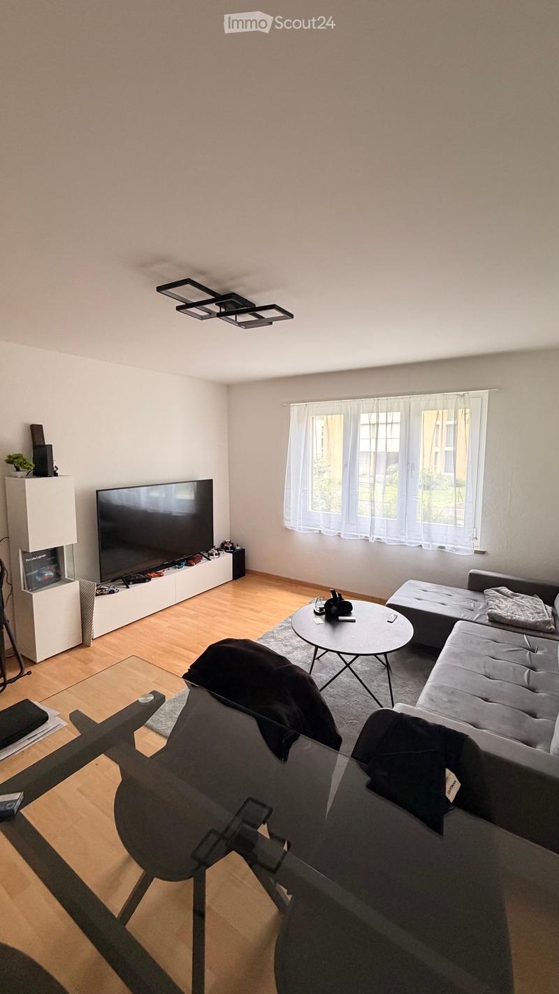 Modern living room with light wooden flooring, large window with white curtains, grey sectional sofa, round coffee table, TV on a white cabinet, and a small plant on a shelf.