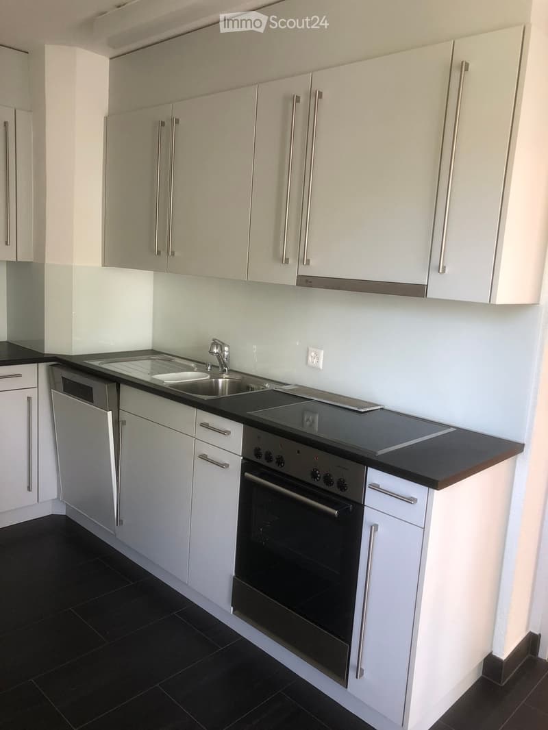Modern kitchen with white cabinets, black countertops, stainless steel sink, oven, dishwasher, and induction cooktop.
